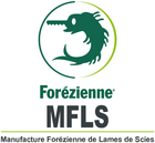 Forezienne MFLS
